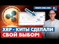 XRP что делают КИТЫ? | XRP прогноз на 2022 год!