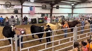 2025 Greene County Fair Market Beef Overall Final Drive  Profile