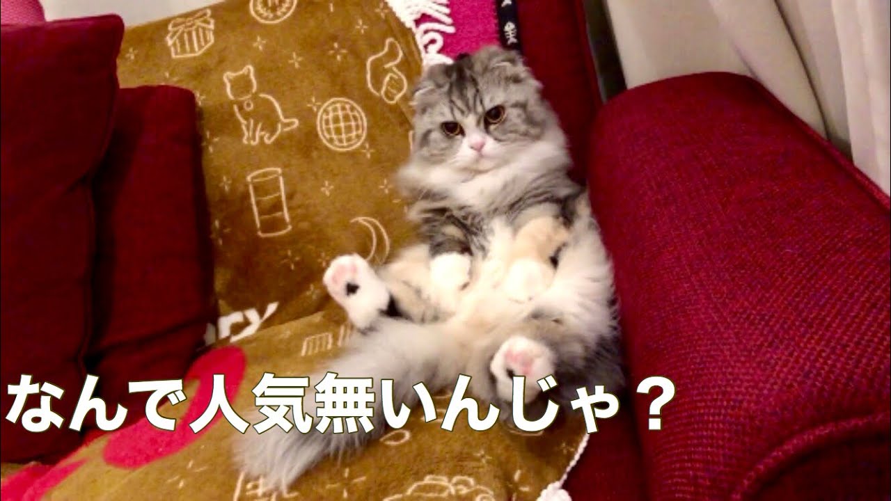 もち まる 日記