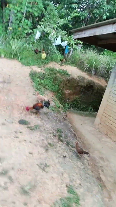 https://youtube.com/shorts/WwAVR54tvVg?si=yoCpJh6FJaa9TK4a #facts