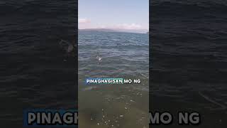 di Araw-araw may huli #angler #fishing #goprohero7