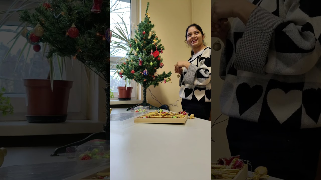 #christmas #poland #poznań #phdabroad #ytshorts #yttrending #research #ytreel #europe #reelvirel