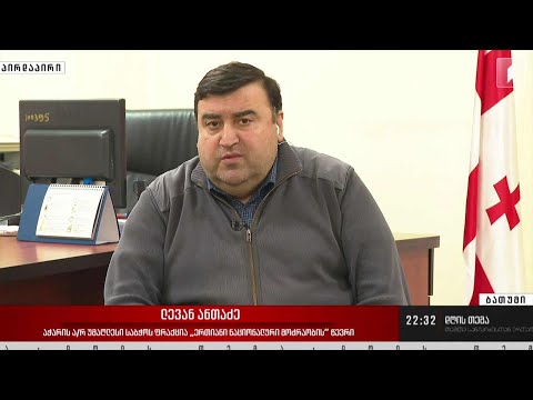 დაპირისპირება და ურთიერთბრალდებები „ნაციონალურ მოძრაობაში“ - ინტერვიუ ლევან ანთაძესთან #დღისთემა