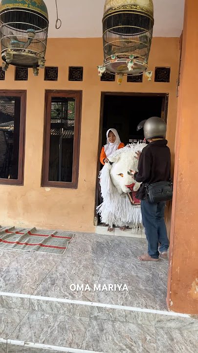 Nagih hutang malah di bayar pakai can macanan