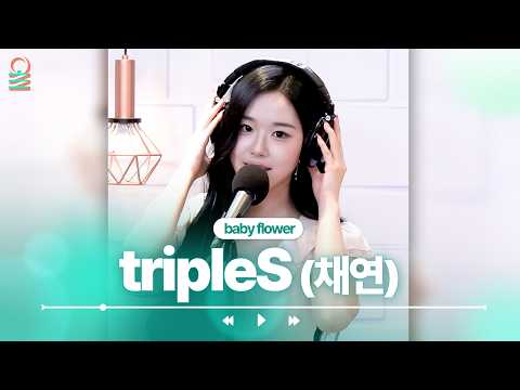 [FOCUS CAM] tripleS(채연) - Baby Flower | #MBCRADIO #정오의희망곡김신영입니다 #tripleS #트리플에스 #주빈 | MBC 260603 방송