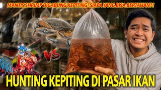 Download Lagu HUNTING KEPITING DI PASAR IKAN BUAT MANTIS SHRIMP DI RUMAH! DIGABUNGIN SIAPA YANG BISA BERTAHAN?! MP3 Download Lagu HUNTING KEPITING DI PASAR IKAN BUAT MANTIS SHRIMP DI RUMAH! DIGABUNGIN SIAPA YANG BISA BERTAHAN?! MP3
