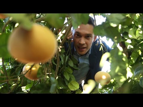 Еда живая и мёртвая, выпуск от 2 апреля 2016