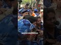 Cockroaches Offer Flowers To Police
