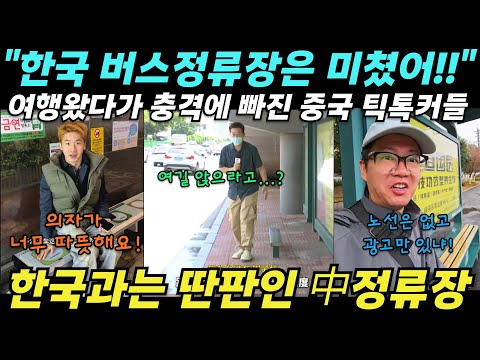 [중국반응] 한국의 최신 버스정류장에 감탄하는 중국 틱톡커들 │국뽕으로도 가릴 수 없는 당황스러운 중국 버스정류장 모음 [국제적남자]