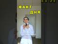 Почему у тебя ПЛОХАЯ ПАМЯТЬ и СКАЧКИ НАСТРОЕНИЯ?