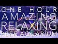 4K - 1 HOUR - REEF AQUARIUM - PERFECT CALMING RELAXATION - Meditation and Sleep Music