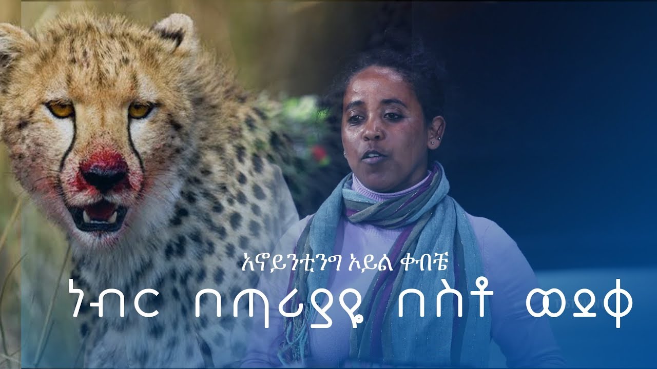 513 አስገራሚ ምስክርነት፣ አኖይንቲንግ ኦይል ተቀብቼ ነብር ጣሪያዬን በስቶ ወደቀ