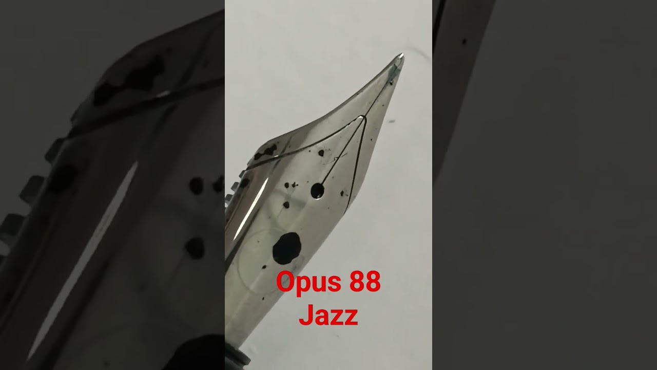 Opus 88 Jazz Nib Cy Needlepoint Custom Stilo&Stile 