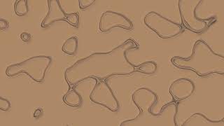 Animated Pattern Overlay Background Video #4k