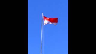 DownloadIndahnya merah putih berkibar MP3 MP4 Indahnya merah putih berkibar