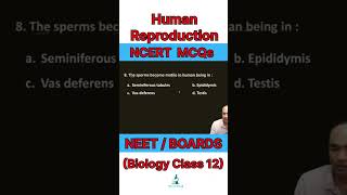 NCERT MCQs | NEET MCQs | Human Reproduction Class 12 Biology| Biology shorts #neet #class12biology
