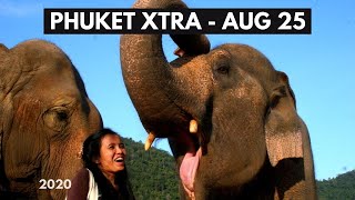 Hungry elephant concerns as Phuket tourism decimated! Thailand emergency extended? || Thailand News screenshot 4