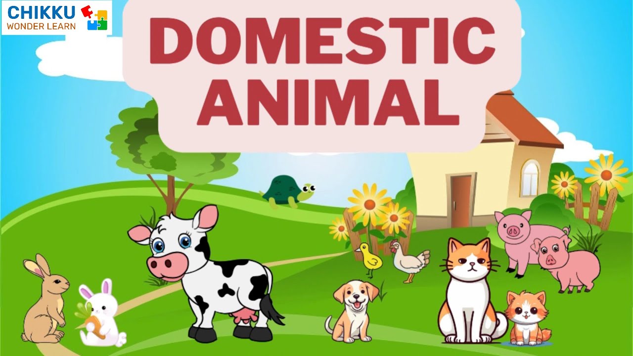 Domestic animals Preschoolers Educational Video YouTube