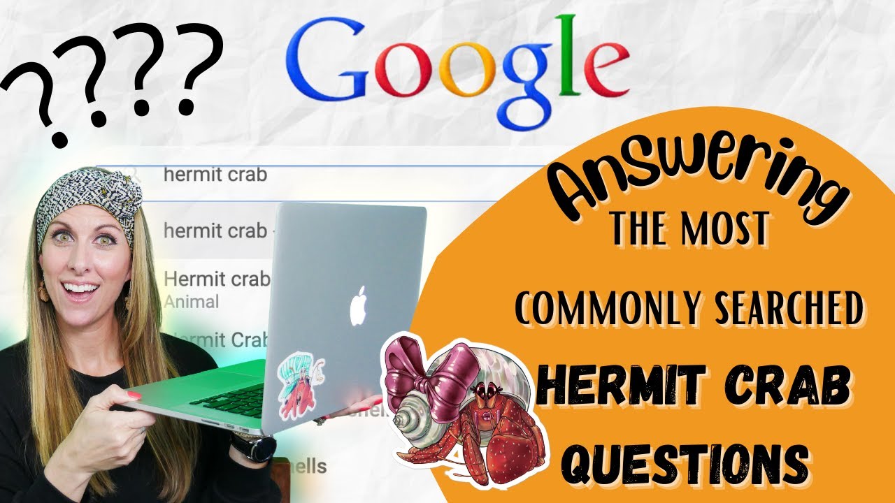 Отвечаем на самые популярные вопросы о раке-отшельнике в Google