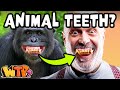The History of False Teeth