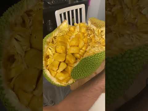 Cheena jackfruit