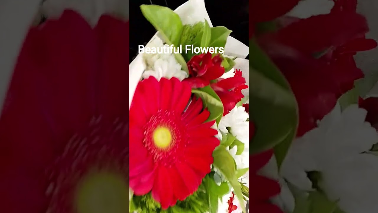 Beautiful Flowers