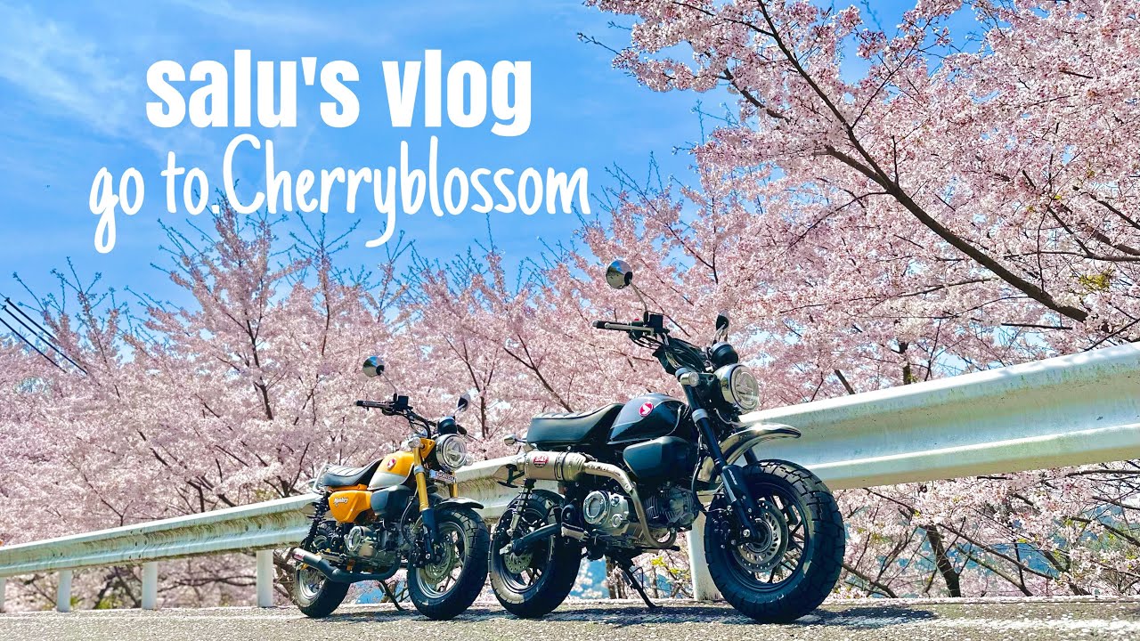 【モンキー125】桜満開　最高の春到来♫  春は言葉がオカシクナルヨ【夫婦ライダー】