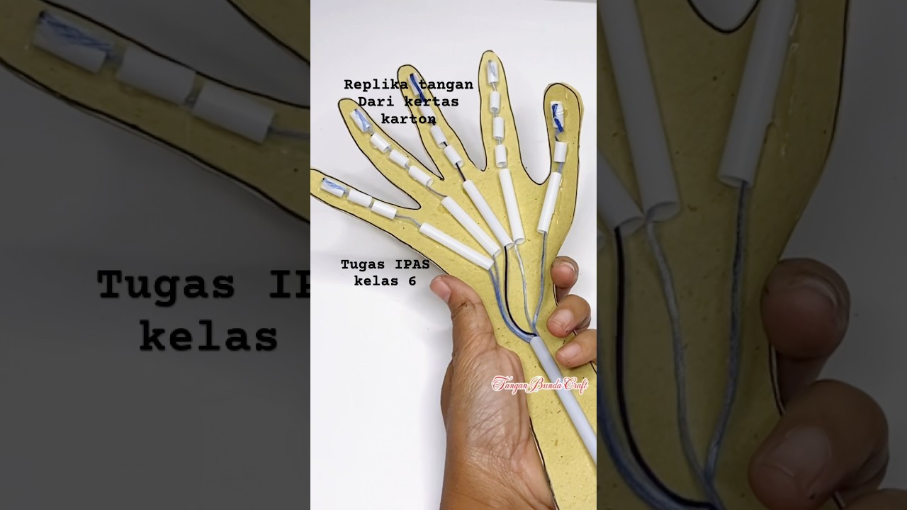 Cara membuat replika tangan dari kertas karton |tugas kelas 6 IPAS