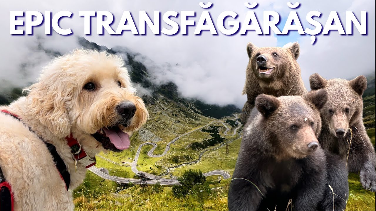 INSANE Transfăgărășan Drive 🇷🇴 | Romania’s Epic Mountain Road!