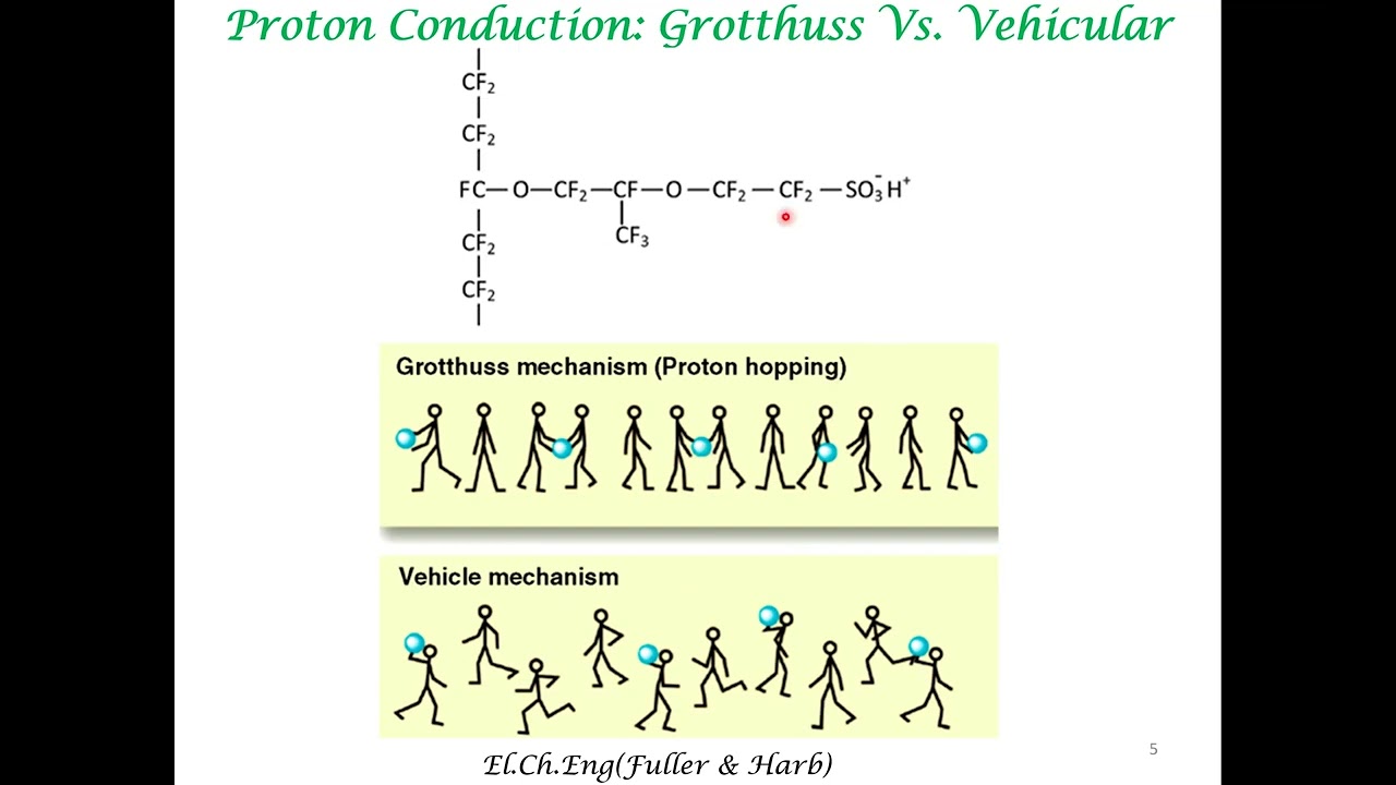 Proton Conduction Mechanism in PEMFC