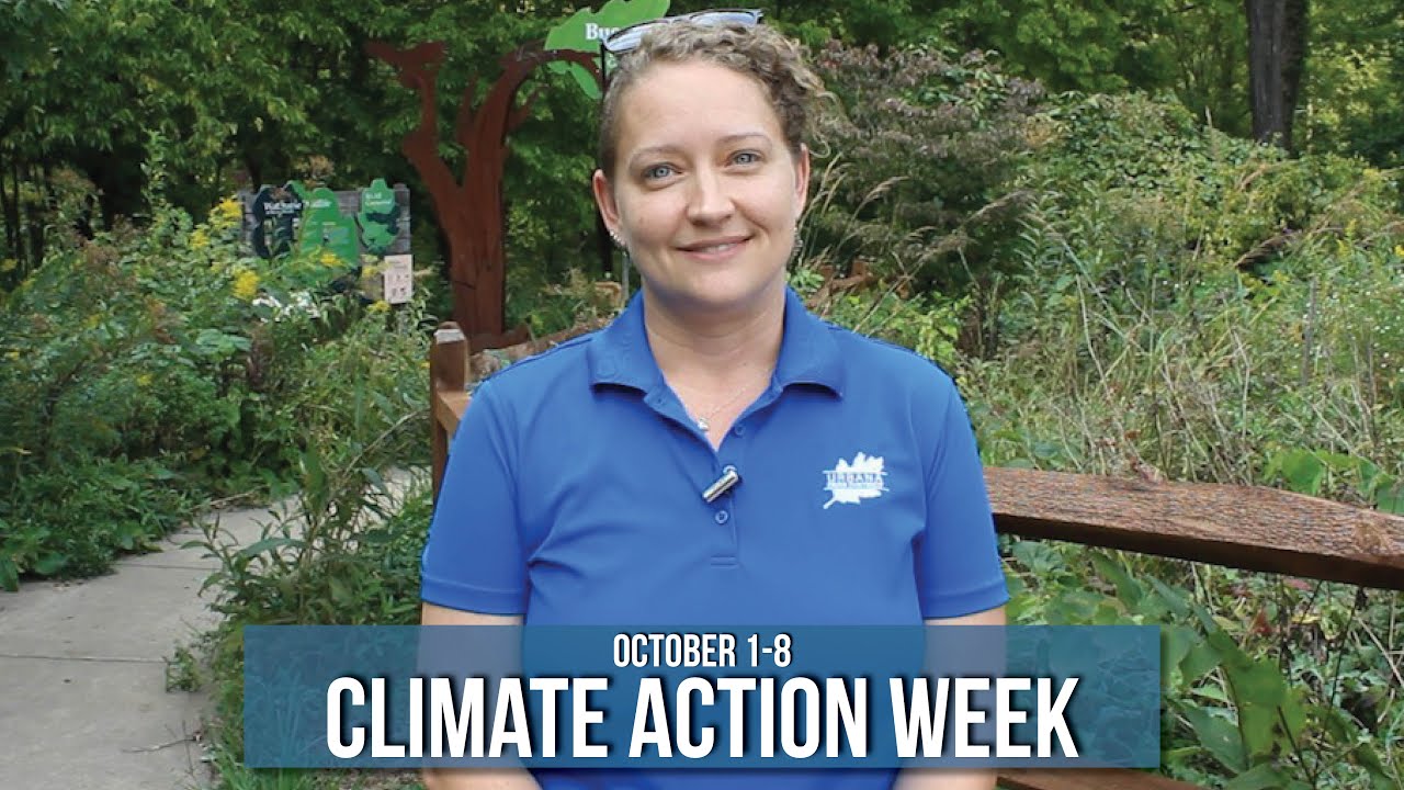 Climate Action Week 2023! - YouTube
