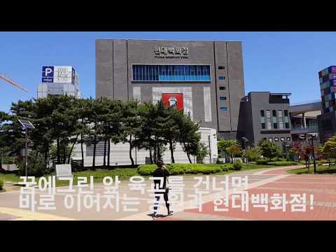 킨텍스 꿈에그린에서 한류초까지 공원로를 통한 통학로!