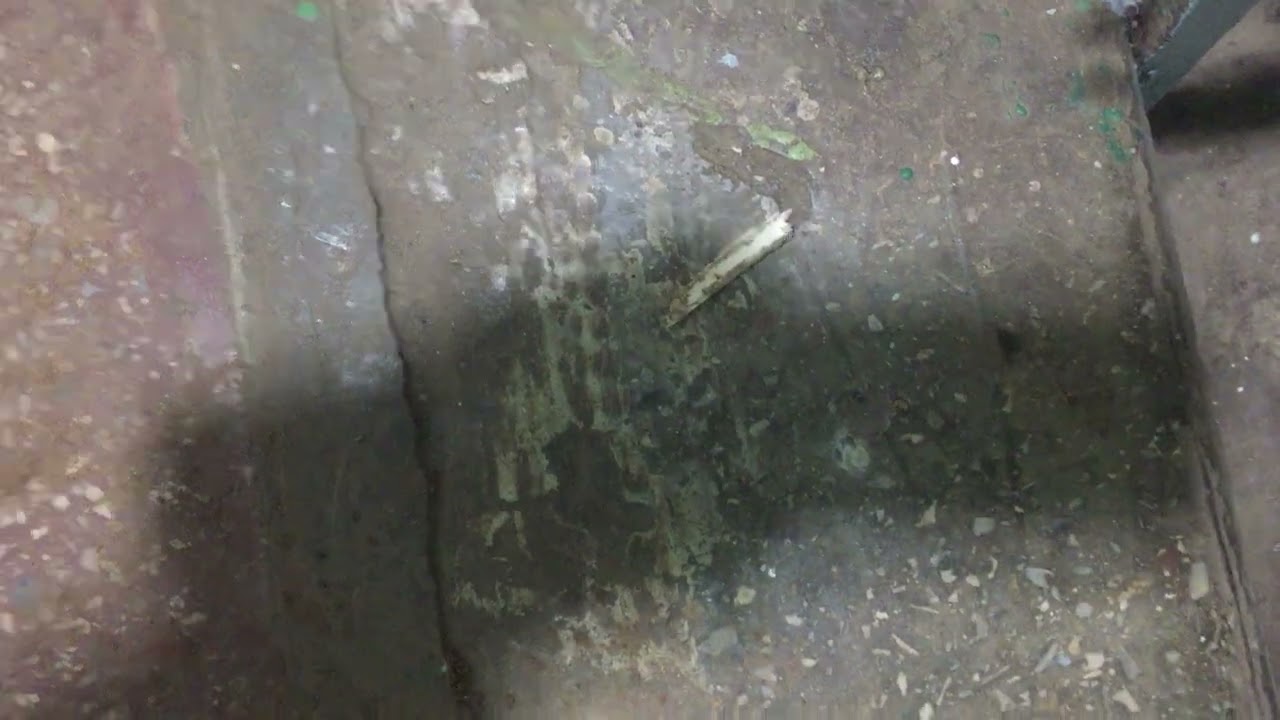 Теорема ЖКХ Подъезд 2025 12 28 14 35