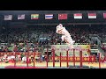 2019年中国藤县世界狮王争霸赛” (2019 China Tengxian World Lion King Competition) Kong Ha Hong INDONESIA 9,14