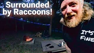 Raccoons Stole the Show: My Most Chaotic Solo Camp Yet!