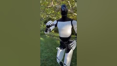 Kim Kardashian bought the new Tesla robot 😳