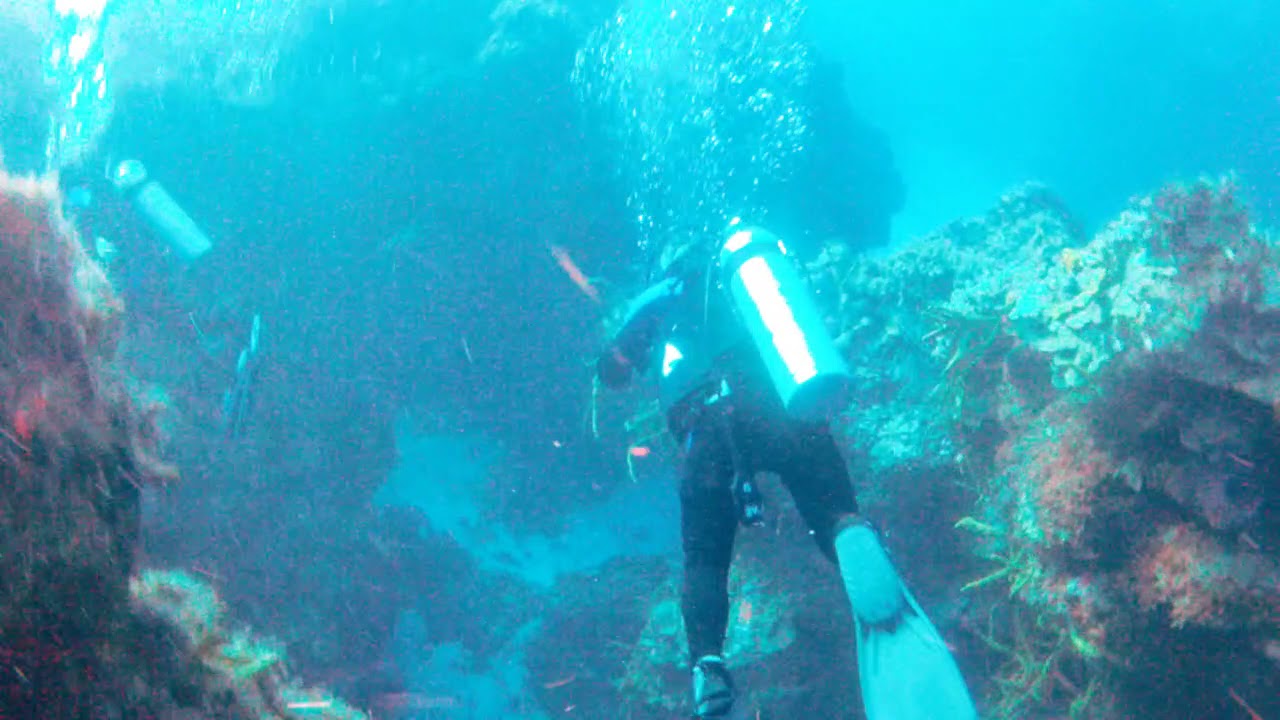 cozumel 2016 tues movie