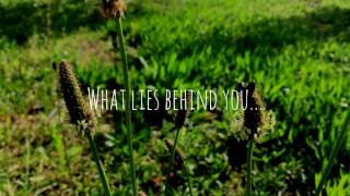 What lies behind you