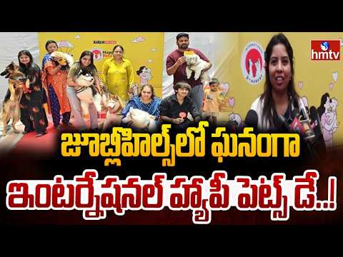 జూబ్లీహిల్స్‌లో ఘనంగా ఇంటర్నేషనల్ హ్యాపీ పెట్స్ డే..! |International Happy Pets Day in Jubilee Hills - HMTVNEWS