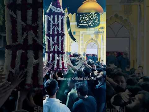 Taboot Imam ali as Lucknow