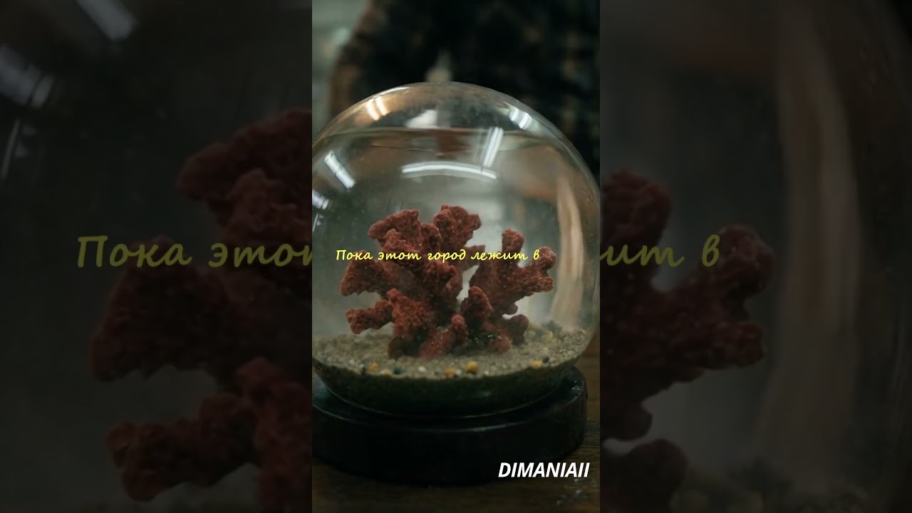 Uploads from DIMANIAII