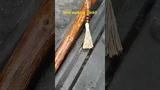 New morel walking stick