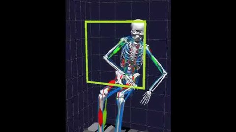 Inverse kinematics with BoB