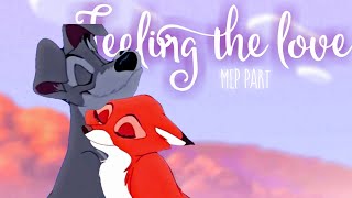 Feeling the love - Tramp and Vixey(MEP part)