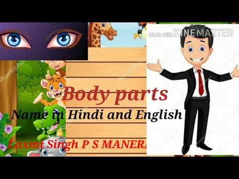 Body parts name in Hindi and English #Epathshala - YouTube