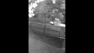 Sound of gunshots heard on surveillance video from nearby home