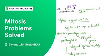 Mitosis Problems Solved | Cyclins and CDKs | Genetics