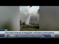 Лесной пожар в Риддере: найден обгоревший труп женщины