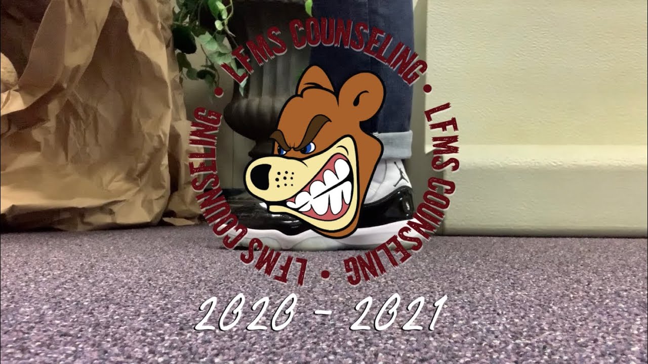LFMS Counseling: Access & Support (2020 - 2021)