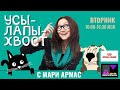 Эксперты отвечают на вопросы. Лечебные корма. Котята и как приучить их к когтеточке.  22.03.22